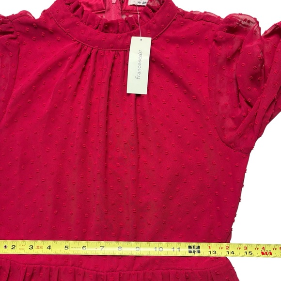 NWT Francesca's Collections Mi Ami Swiss Dot Tiered Mini Dress M Red Chiffon - Picture 10 of 15